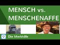 mensch-vs-menschenaffe/