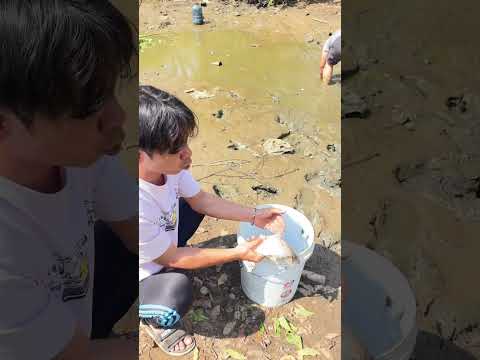 Fishing ក្បែផ្ទះត្រីខ្រើនណាស់