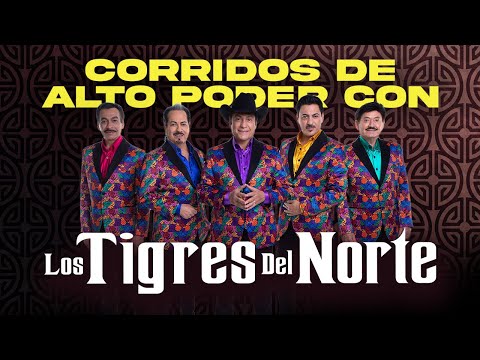 Corridos de Alto Poder Con Los Tigres del Norte