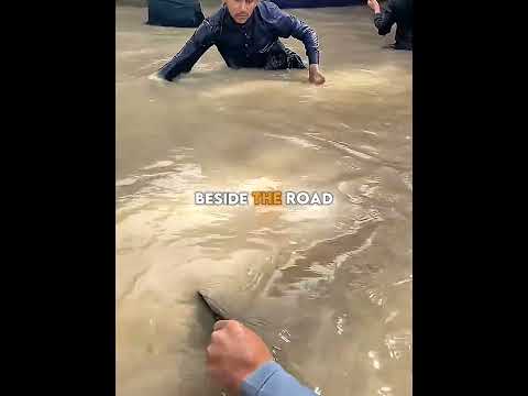 They Trusted <strong>Their</strong> Neighbor... BIG Mistake! 😂🐟
