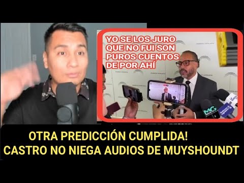 Marcelo Larin lo hace de nuevo predice la caida de Castro en audio de Alejandro Muyshoundt