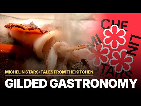 Michelin Stars: Tales from the Kitchen | Symphony of Flavors