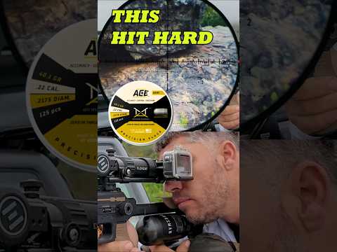FX PANTHERA HIT HARD WITH ACE SLUGS I LONG RANGE AIRGUN HUNTING