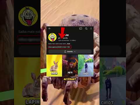 NO POINTEZ PAS UN KASER SUR UNE ARAIGNÉE MÈRE