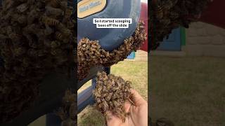 Scooping a Swarm of Bees Off a Slide