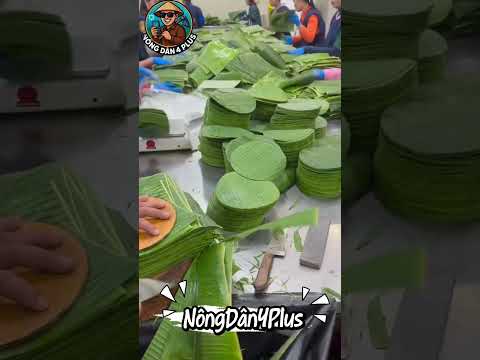Lá Chuối Dùng Làm Gì Mà Nhiều Anh Em Tìm Mua? #shortvideo #farming #nongdan #nongnghiep