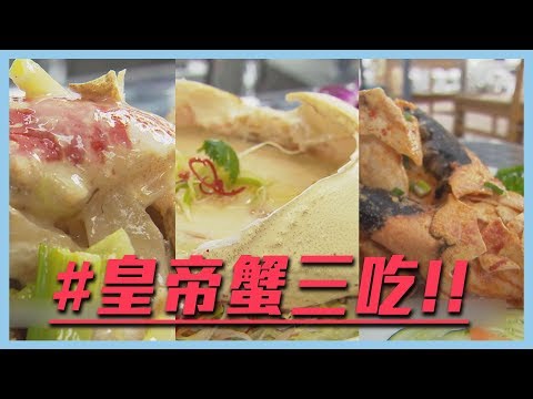 【皇帝蟹三吃！超奢華海味征服老饕！！】愛玩客 精華