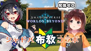 【#shadowverse  #初見歓迎 】お友達のあんずちゃんにシャドバの楽しさをみんなで布教しちゃおう！【 はむち 】