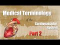 Medical Terminology of the Cardiovascular System: Key Concepts and Pronunciation