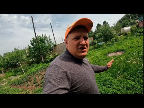 Вместо благоустройства начали выжигать все вокруг