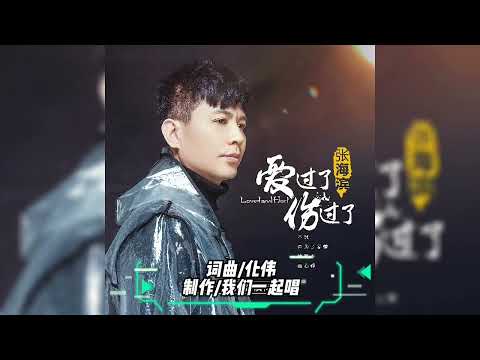 张海滨   爱过了也伤过了MTV