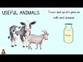 Roles and Benefits of Useful Animals