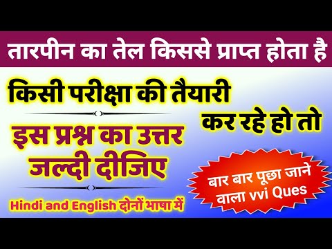 तारपीन का तेल किस पौधे से प्राप्त होता है | turpentine oil is obtained from | how tarpin oil is made