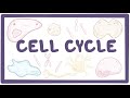 Cell Cycle and Mitosis Concepts
