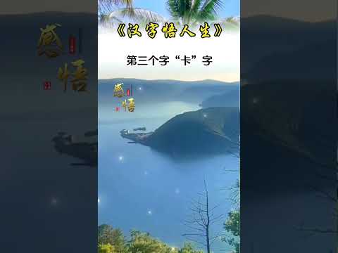 有根……有感悟……有根的文化有情怀…… #心灵感悟 感谢订阅☕☕