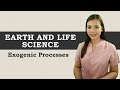 Weathering and Erosion Processes