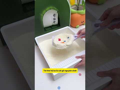Review Cát Vệ Sinh Cho Mèo: Hành Trình Trải Nghiệm 4 Thế Hệ - Góc Nhìn Của Một Sen Lâu Năm