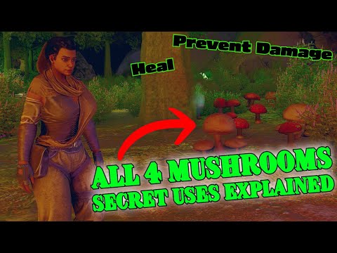 MUSHROOMS Secret Abilities EXPLAINED!!! Prevent Damage, Heal, Run Forever!!!