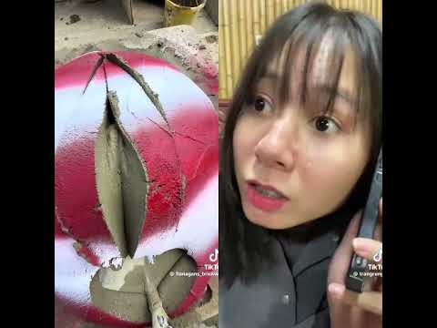 Cre Trang Rừng #capcut #funny #haihuoc #giaitri #xuhuongyoutube
