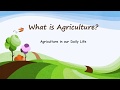Agriculture Knowledge Assessment