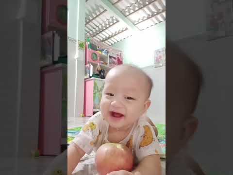 Bảo long cười #funny #dolado