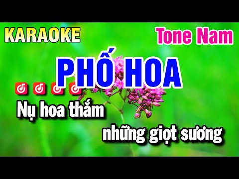 Karaoke Phố Hoa Nhạc Sống Tone Nam Gm | Beat Huỳnh Anh