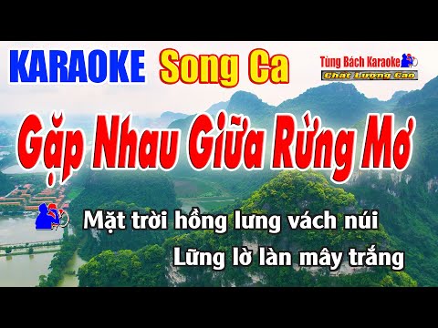 Gặp Nhau Giữa Rừng Mơ Karaoke ( Song Ca ) Beat Chuẩn Nhạc Sống Tùng Bách