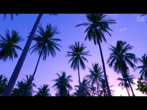 Machine Elves - Thailand 2025 Aftermovie
