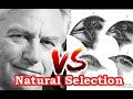 Understanding Natural Selection Concepts