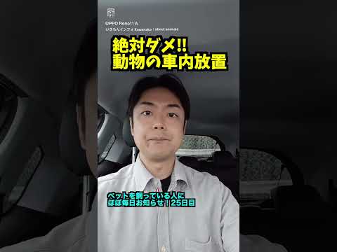 thumbnail_zO7-1B1iEc8