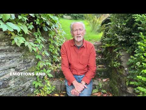 Play video Play video