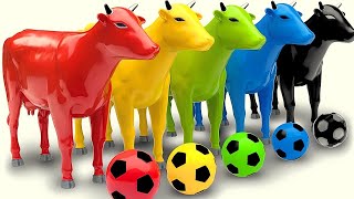 Long Slide Game with Cow Elephant Gorilla Hippopotamus Tiger 3d Animal Game Funny 3d Animals