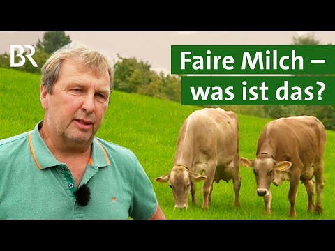 Milchpreis und Transparenz: Herausforderungen für die Vermarktung von fairer Milch | Unser Land | BR