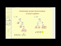 Understanding Prime Factorization Concepts