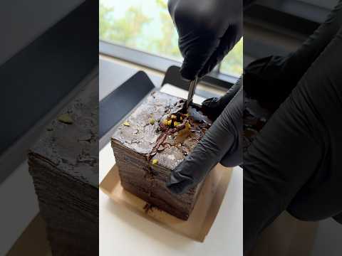 부산에서 식빵을 주문하면 생기는 일 Chocolate cube bread