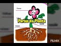 Partes da Planta