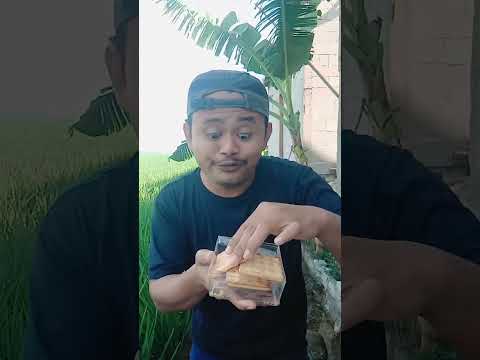 Bau ketek #shorts