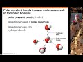 Water Properties and Molecular Interactions