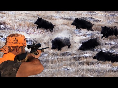 TOP 30 EN İYİ VURUŞLAR! YABAN DOMUZU AVI UNUUTLMAZ SAHNELER. Best wild boar hunting