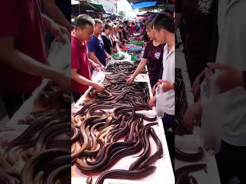 # eel sold in market