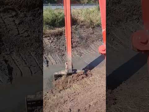 คลองเส้นนี้งูเยอะมากเลยครับ ส่วนมากจะเป็นงูหลามกับงูเหลือม #excavator #fishing #fish #shorts