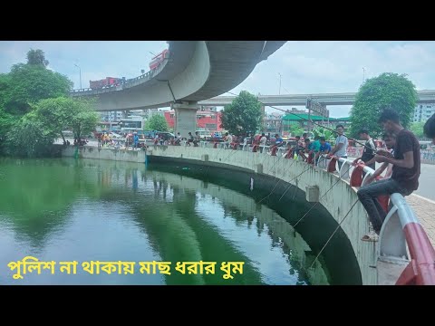 কুড়িল বিশ্বরোডের লেকে মাছ ধরার ধুম|সরকারি লেকে মাছ ধরার উৎসব