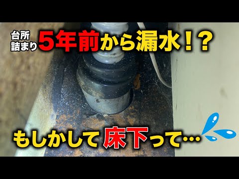 ５年前から漏水！？床下は大丈夫なのか？屋外から高圧洗浄【花のお掃除 #311】