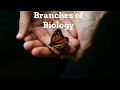 Biology and Mathematics Interconnections