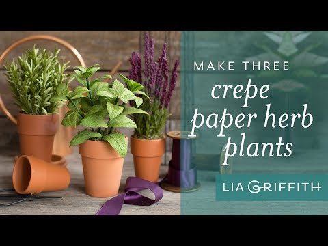 DIY Crepe Paper Herb Plants