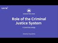 Criminal Justice System Insights