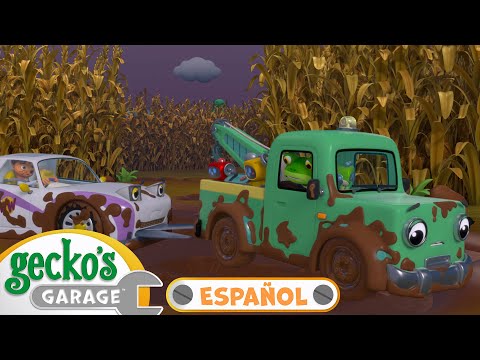 Laberinto enlodado 💦 | 🐸 Garaje de Gecko | Carros para niños | Vídeos educativos