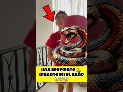 Cuidado con las serpientes que se meten a los baños😱😭😰 #viral  #shortvideo  #videoshort #video
