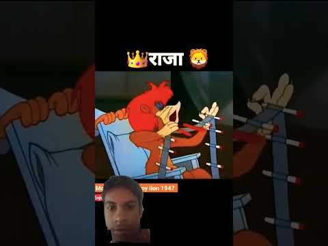 lion the kunh #cartoon #funny #comedy