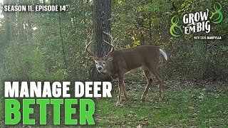 Manage Deer Better With a Full-Circle Approach